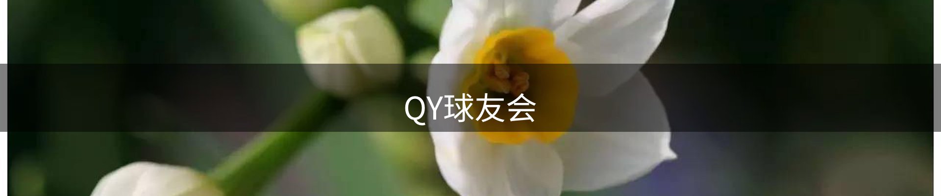 QY球友会-官方网站